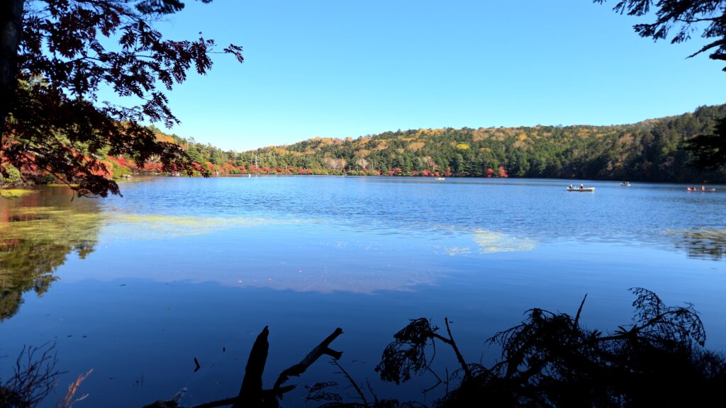紅葉の時期の白駒の池。湖面にいくつもボートが浮かぶ